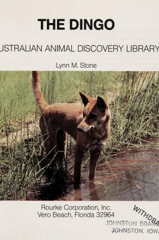 Cover of Dingoes