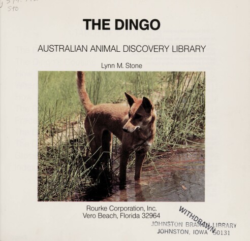 Cover of Dingoes