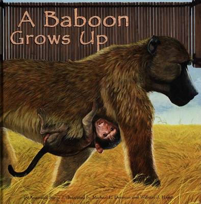 Book cover for A Baboon Grows Up