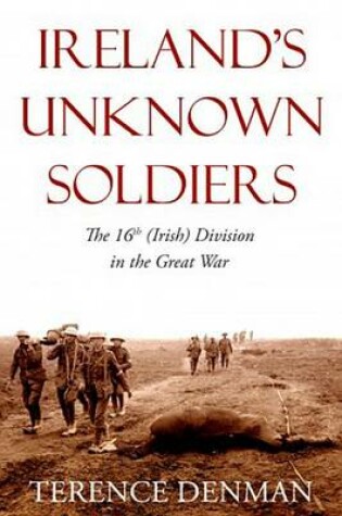 Cover of Ireland's Unknown Soldiers