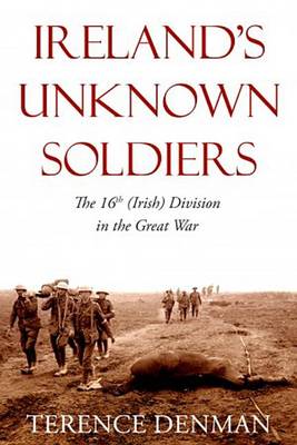 Book cover for Ireland's Unknown Soldiers