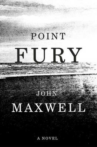 Cover of Point Fury