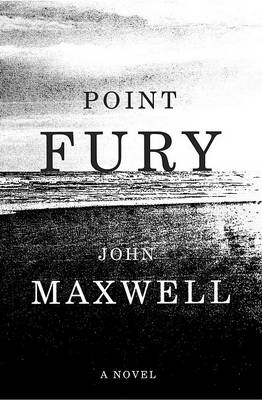 Book cover for Point Fury