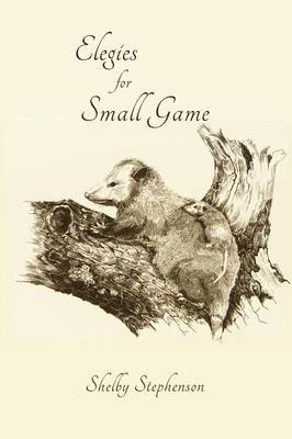 Book cover for Elegies for Small Game