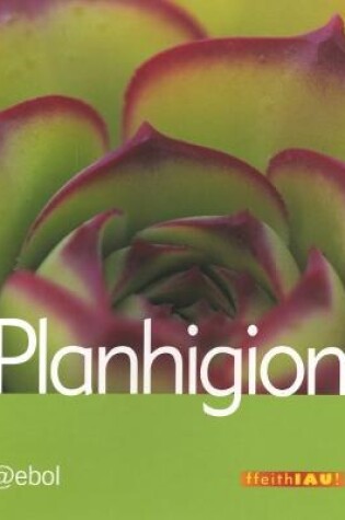 Cover of Cyfres Ffeithiau! Planhigion: Planhigion