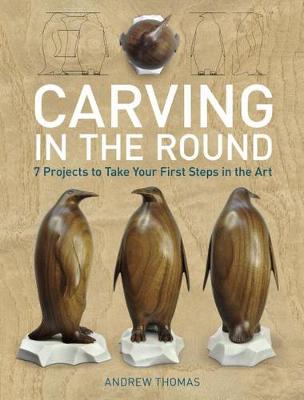 Book cover for Carving in the Round