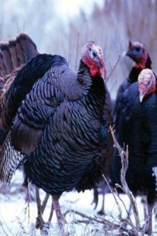 Cover of Journal Wild Turkeys Winter