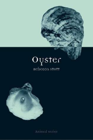 Cover of Oyster