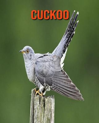 Book cover for Cuckoo