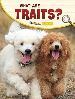 Book cover for What Are Traits?