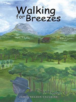 Book cover for Walking for Breezes