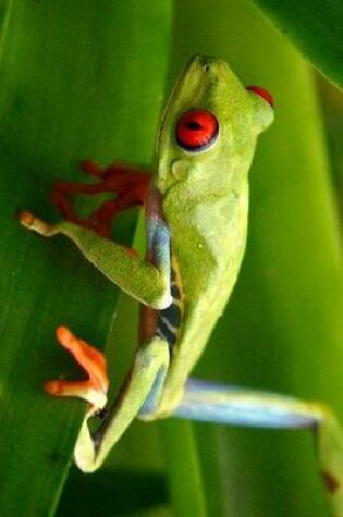 Cover of Red Eyed Tree Frog Walking Journal