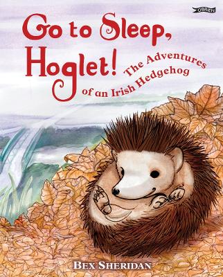 Book cover for Go To Sleep, Hoglet