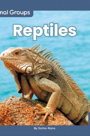 Cover of Animal Groups: Reptiles