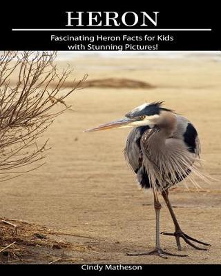 Book cover for Heron