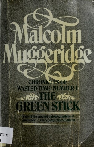 Book cover for The Green Stick