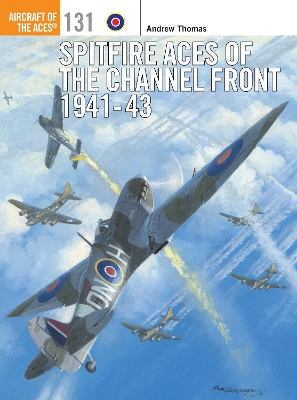 Cover of Spitfire Aces of the Channel Front 1941-43