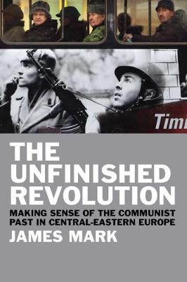Book cover for The Unfinished Revolution