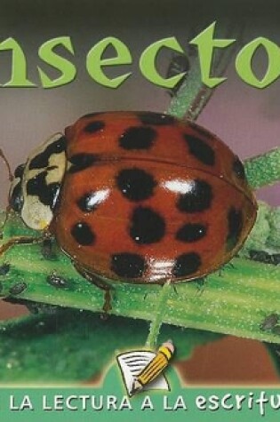 Cover of Insectos