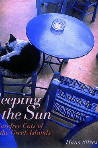 Cover of Sleeping in the Sun