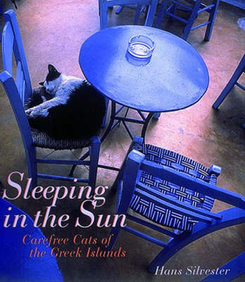 Book cover for Sleeping in the Sun