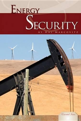 Book cover for Energy Security