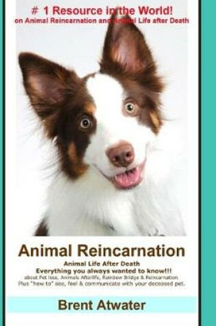 Cover of Animal Reincarnation