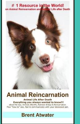 Book cover for Animal Reincarnation