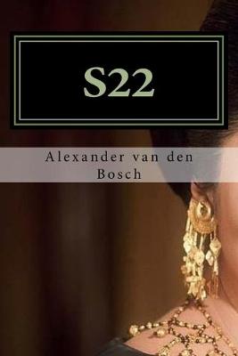 Book cover for S22