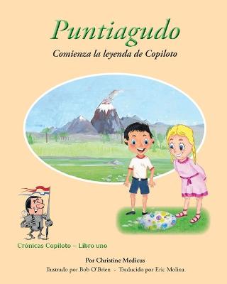 Book cover for Puntiagudo