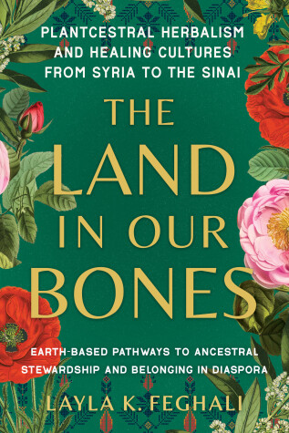 Cover of The Land in Our Bones