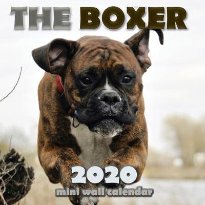 Book cover for The Boxer 2020 Mini Wall Calendar