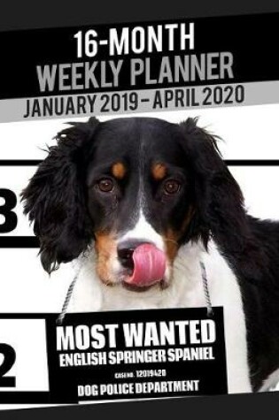 Cover of 2019-2020 Weekly Planner - Most Wanted English Springer Spaniel