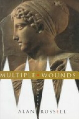 Cover of Multiple Wounds