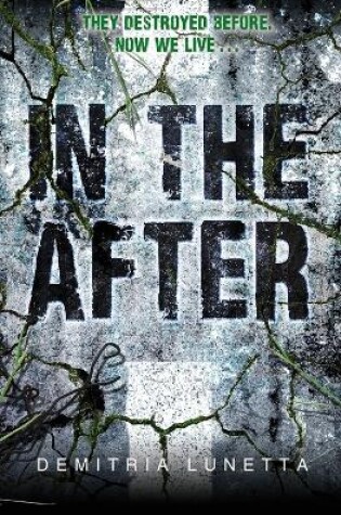 Cover of In the After