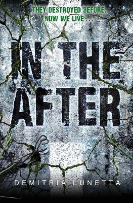 Book cover for In the After