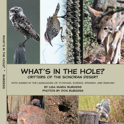 Cover of What's in the hole? Critters of the Sonoran Desert