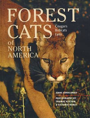 Book cover for Forest Cats of North America