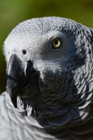 Cover of African Grey Parrot Profile Journal