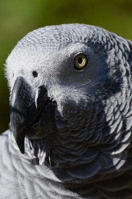 Book cover for African Grey Parrot Profile Journal