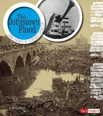 Book cover for The Johnstown Flood