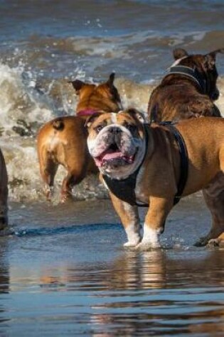 Cover of English Bulldog Pack at the Beach Journal