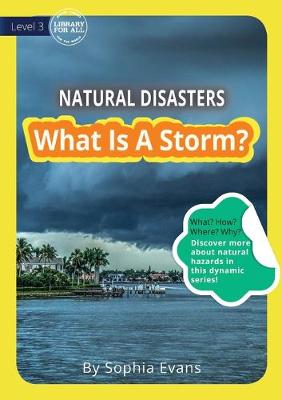 Cover of What Is A Storm?