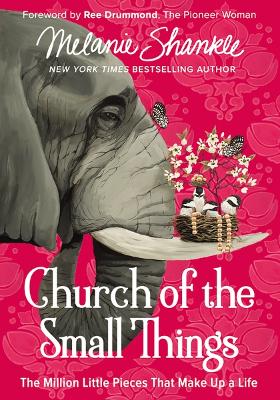 Book cover for Church of the Small Things