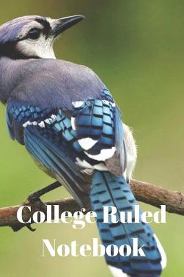 Book cover for College Ruled Notebook