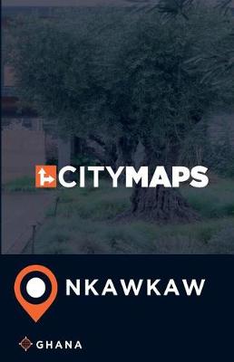 Book cover for City Maps Nkawkaw Ghana