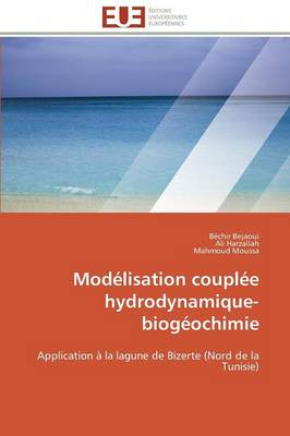 Book cover for Mod lisation Coupl e Hydrodynamique-Biog ochimie