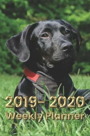 Cover of Labrador Retriever 6x9 2019-2020 Weekly Planner #4