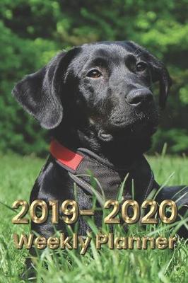Book cover for Labrador Retriever 6x9 2019-2020 Weekly Planner #4
