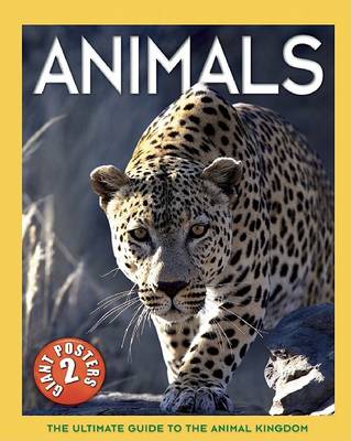 Book cover for Animals